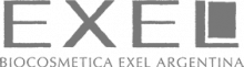 Logo Exel